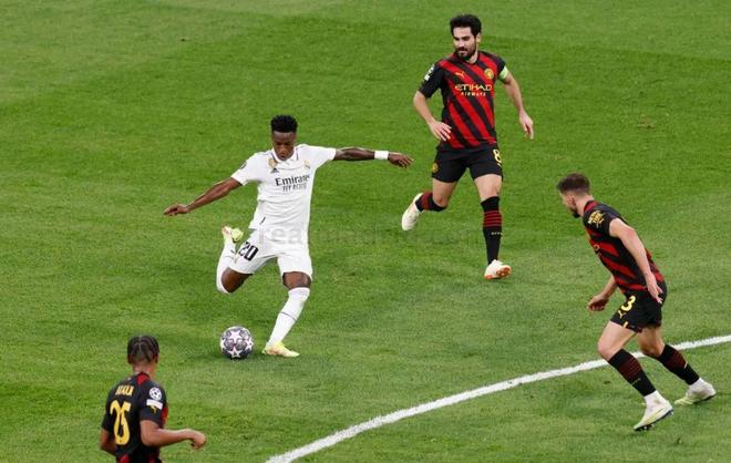 鱼儿说三的 鱼儿说三的