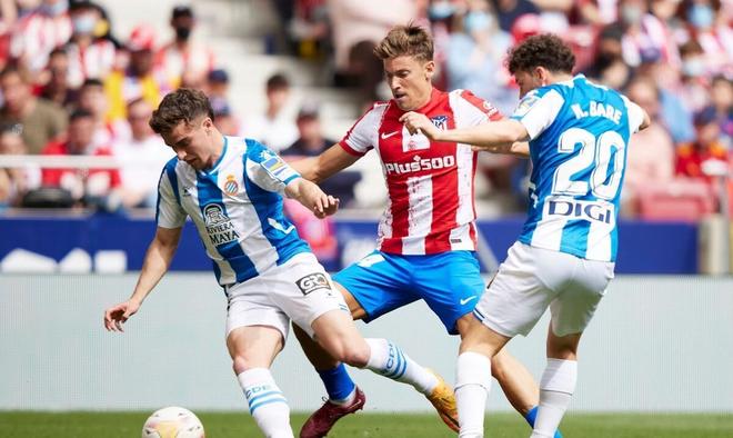 团队合作的 团队合作的