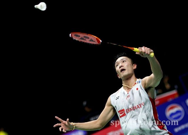 雷米职业生 雷米职业生